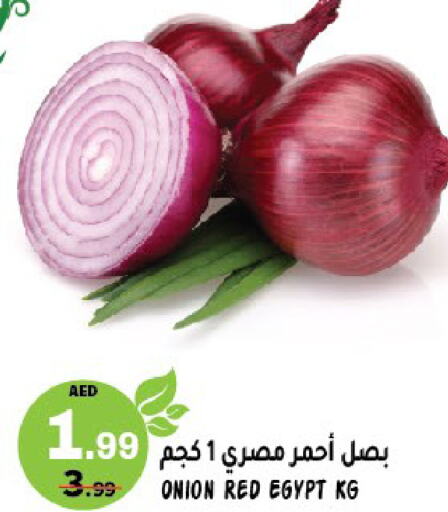 Onion