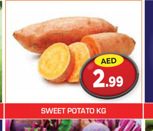  Sweet Potato  in سنابل بني ياس in الإمارات العربية المتحدة , الامارات - أم القيوين‎