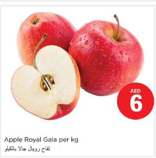  Apples  in نستو هايبرماركت in الإمارات العربية المتحدة , الامارات - دبي