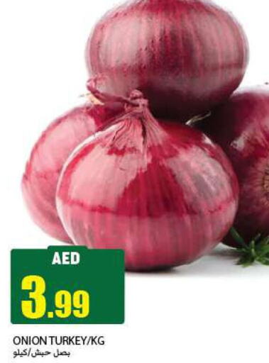  Onion  in  روابي ماركت عجمان in الإمارات العربية المتحدة , الامارات - الشارقة / عجمان