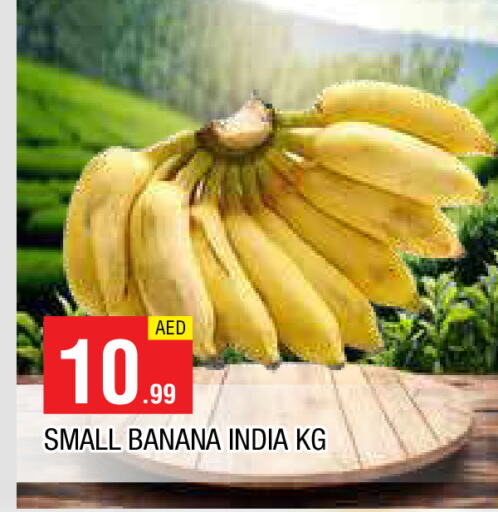  Banana  in AL MADINA in UAE - Sharjah / Ajman