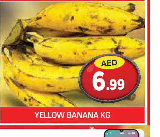  Banana  in سنابل بني ياس in الإمارات العربية المتحدة , الامارات - أم القيوين‎