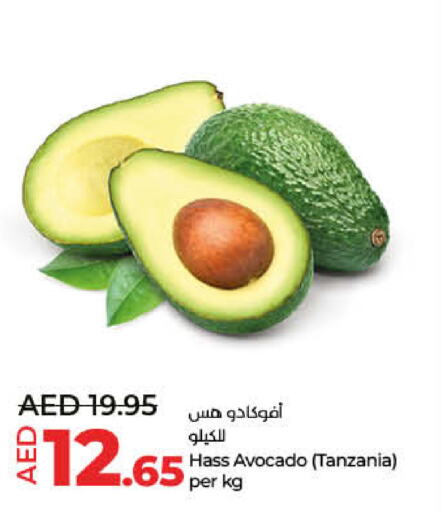  Avacado  in لولو هايبرماركت in الإمارات العربية المتحدة , الامارات - ٱلْفُجَيْرَة‎