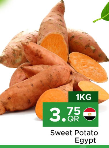  Sweet Potato  in مركز التموين العائلي in قطر - الضعاين