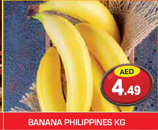  Banana  in سنابل بني ياس in الإمارات العربية المتحدة , الامارات - ٱلْعَيْن‎