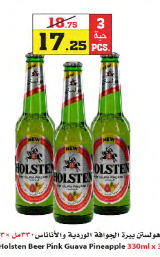 HOLSTEN