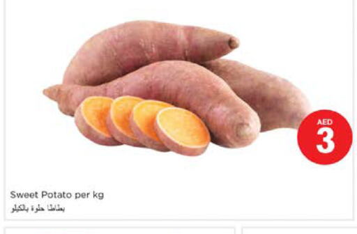  Sweet Potato  in نستو هايبرماركت in الإمارات العربية المتحدة , الامارات - الشارقة / عجمان