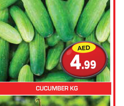  Cucumber  in سنابل بني ياس in الإمارات العربية المتحدة , الامارات - أم القيوين‎