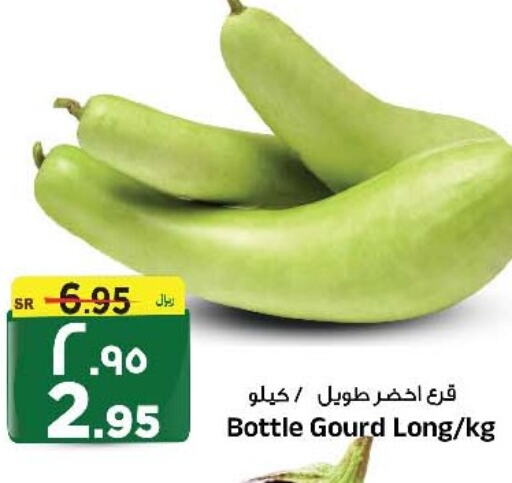  Gourd  in المدينة هايبرماركت in مملكة العربية السعودية, السعودية, سعودية - الرياض