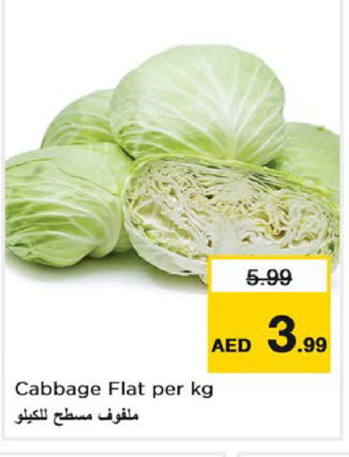  Cabbage  in Last Chance  in UAE - Fujairah