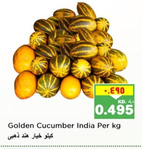  Cucumber  in نستو هايبر ماركت in الكويت - مدينة الكويت