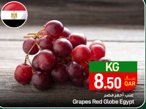  Grapes  in ســبــار in قطر - الوكرة