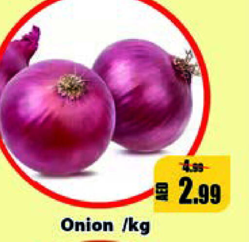  Onion  in Leptis Hypermarket  in UAE - Ras al Khaimah