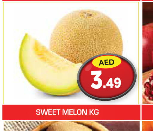  Sweet melon  in سنابل بني ياس in الإمارات العربية المتحدة , الامارات - أم القيوين‎