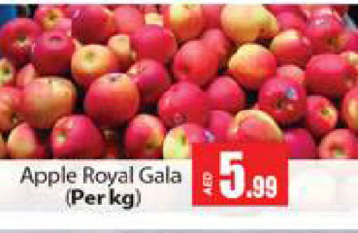  Apples  in Gulf Hypermarket LLC in UAE - Ras al Khaimah