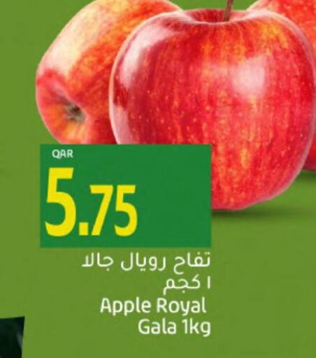  Apples  in Gulf Food Center in Qatar - Al Wakra