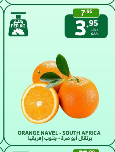  Orange  in الراية in مملكة العربية السعودية, السعودية, سعودية - الباحة