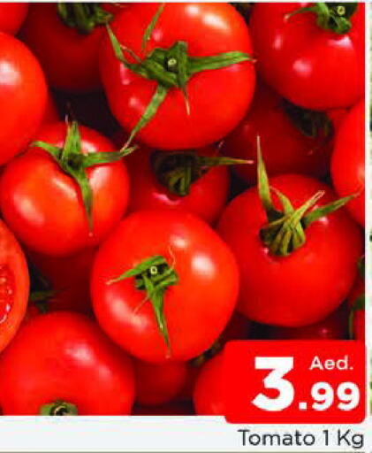  Tomato  in المدينة in الإمارات العربية المتحدة , الامارات - الشارقة / عجمان