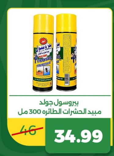    in Green Tree Hypermarket - Sohag in Egypt - Cairo