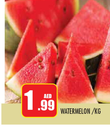  Watermelon  in سنابل بني ياس in الإمارات العربية المتحدة , الامارات - أبو ظبي