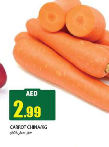  Carrot  in  روابي ماركت عجمان in الإمارات العربية المتحدة , الامارات - الشارقة / عجمان