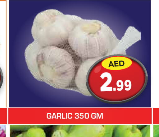  Garlic  in سنابل بني ياس in الإمارات العربية المتحدة , الامارات - أم القيوين‎