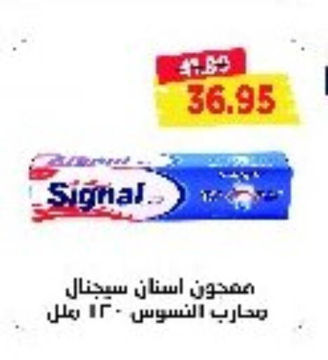 SIGNAL معجون أسنان  in مترو ماركت in Egypt - القاهرة