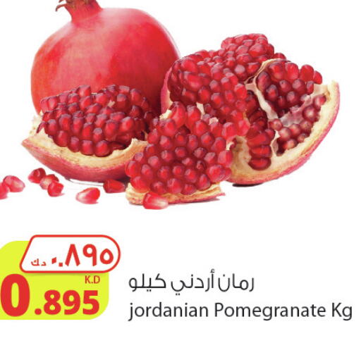  Pomegranate  in شركة المنتجات الزراعية الغذائية in الكويت - محافظة الجهراء