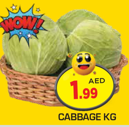  Cabbage  in سنابل بني ياس in الإمارات العربية المتحدة , الامارات - ٱلْعَيْن‎