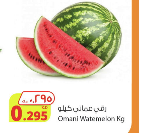  Watermelon  in شركة المنتجات الزراعية الغذائية in الكويت - محافظة الأحمدي