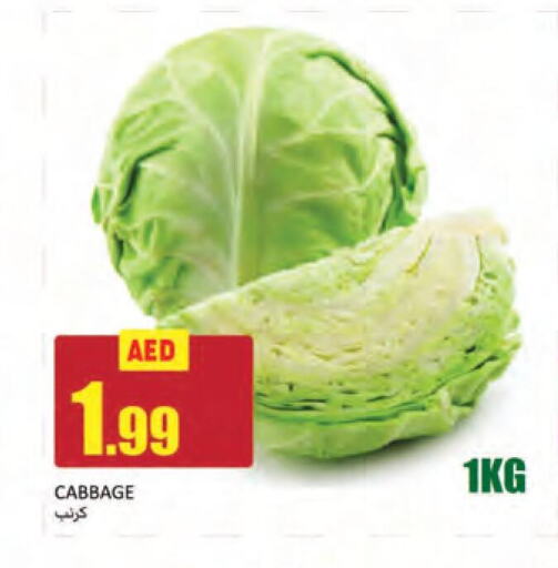  Cabbage  in  روابي ماركت عجمان in الإمارات العربية المتحدة , الامارات - الشارقة / عجمان