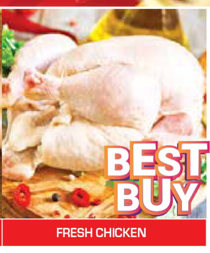  Fresh Whole Chicken  in Baniyas Spike  in UAE - Al Ain