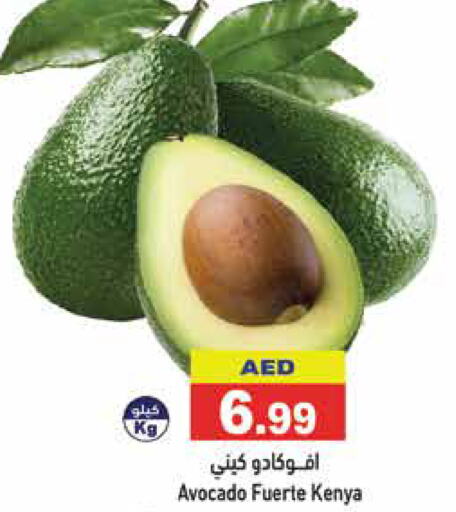  Avacado  in أسواق رامز in الإمارات العربية المتحدة , الامارات - الشارقة / عجمان