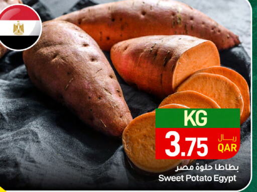  Sweet Potato  in ســبــار in قطر - الضعاين