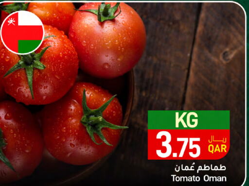  Tomato  in ســبــار in قطر - الوكرة