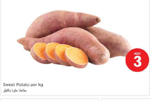  Sweet Potato  in نستو هايبرماركت in الإمارات العربية المتحدة , الامارات - الشارقة / عجمان