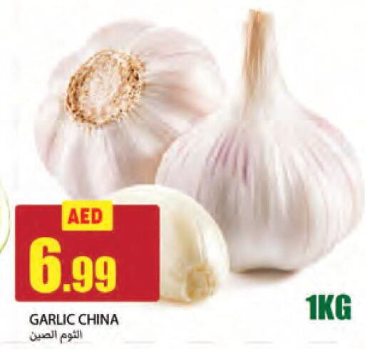  Garlic  in  روابي ماركت عجمان in الإمارات العربية المتحدة , الامارات - الشارقة / عجمان