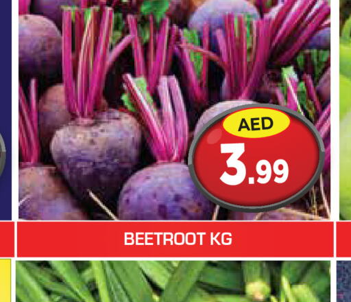  Beetroot  in سنابل بني ياس in الإمارات العربية المتحدة , الامارات - أم القيوين‎