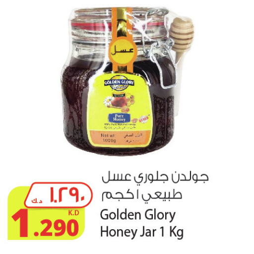  Honey  in Agricultural Food Products Co. in Kuwait - Jahra Governorate