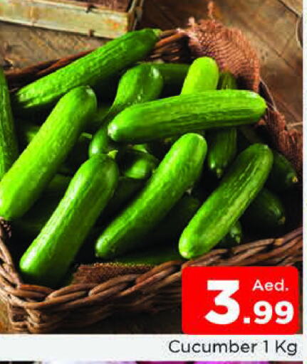  Cucumber  in المدينة in الإمارات العربية المتحدة , الامارات - الشارقة / عجمان