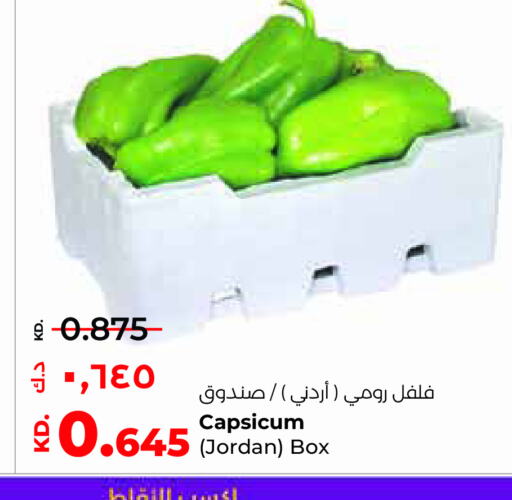  Chilli / Capsicum  in Lulu Hypermarket  in Kuwait - Ahmadi Governorate