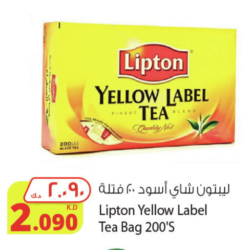 Lipton أكياس شاي  in شركة المنتجات الزراعية الغذائية in الكويت - محافظة الأحمدي