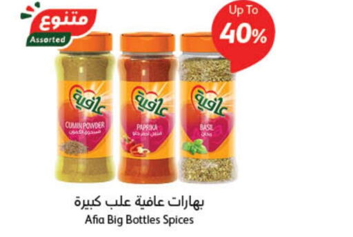 AFIA Spices  in Hyper Panda in KSA, Saudi Arabia, Saudi - Al Bahah