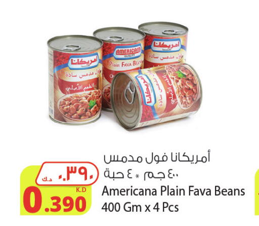 AMERICANA Fava Beans  in شركة المنتجات الزراعية الغذائية in الكويت - محافظة الجهراء