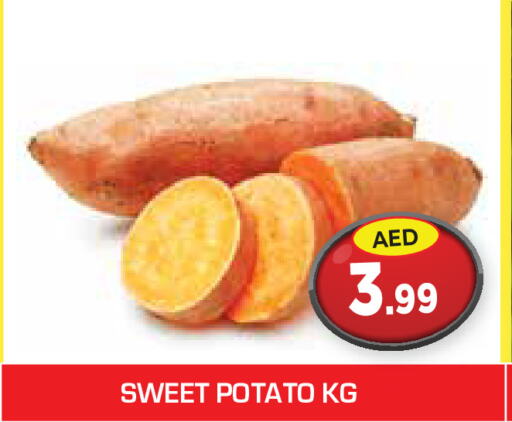  Sweet Potato  in سنابل بني ياس in الإمارات العربية المتحدة , الامارات - ٱلْعَيْن‎