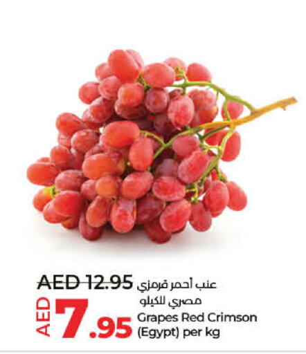  Grapes  in لولو هايبرماركت in الإمارات العربية المتحدة , الامارات - ٱلْفُجَيْرَة‎