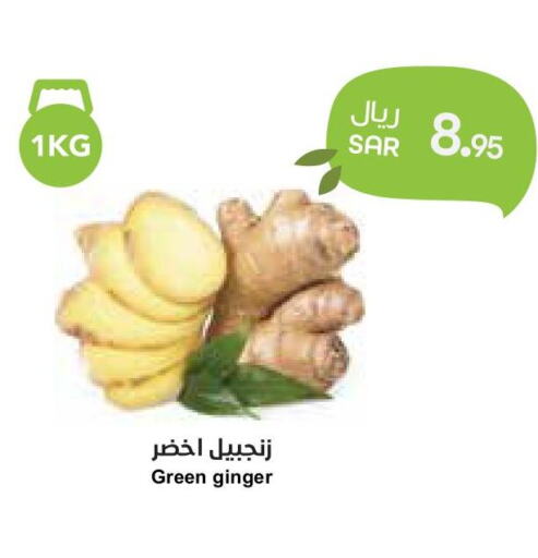  Ginger  in واحة المستهلك in مملكة العربية السعودية, السعودية, سعودية - الخبر‎