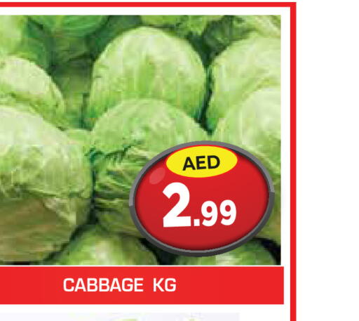  Cabbage  in سنابل بني ياس in الإمارات العربية المتحدة , الامارات - أم القيوين‎