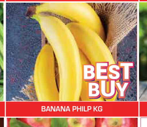  Banana  in سنابل بني ياس in الإمارات العربية المتحدة , الامارات - أم القيوين‎