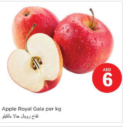  Apples  in نستو هايبرماركت in الإمارات العربية المتحدة , الامارات - دبي